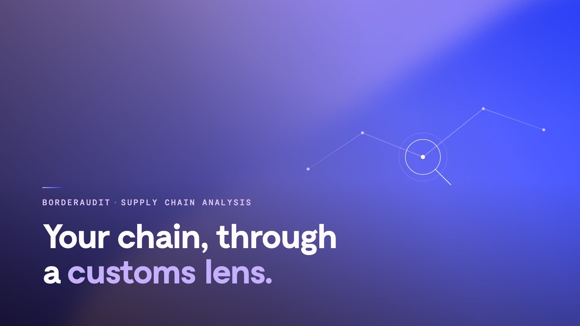Your chain, through a customs lens — BorderAudit supply chain analysis